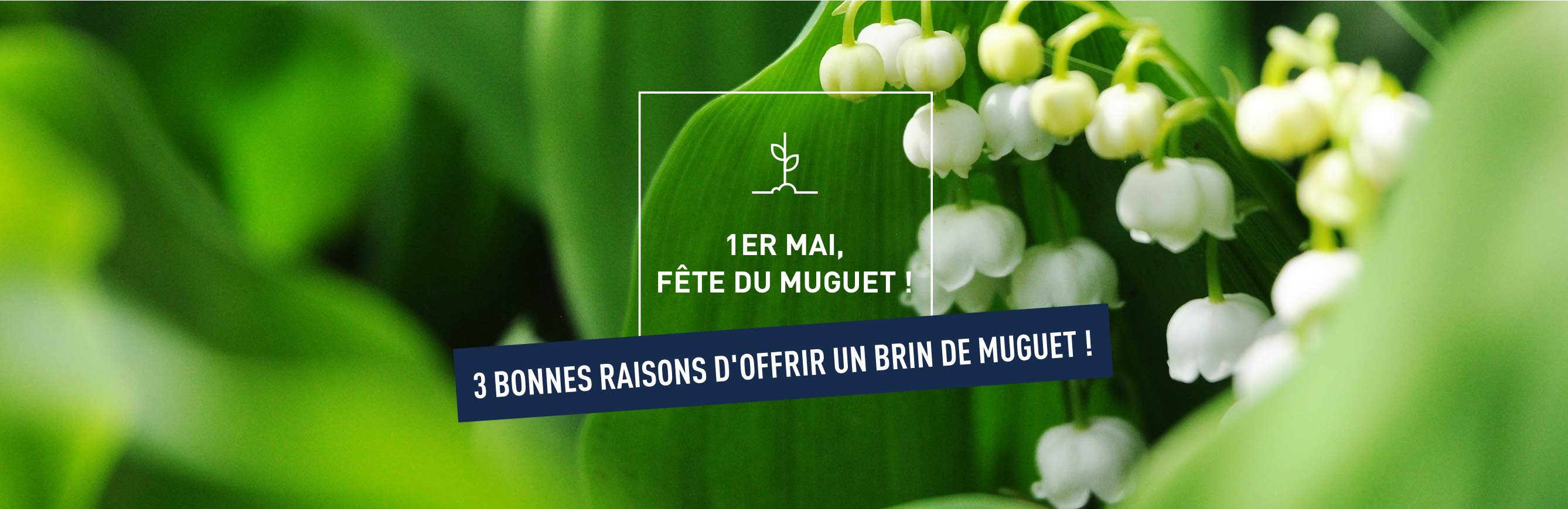 1er Mai 21 3 Bonnes Raisons De Ne Pas Oublier Son Brin De Muguet